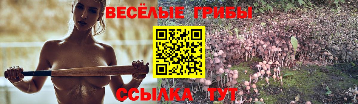 Псилоцибиновые грибы прущие грибы Надым